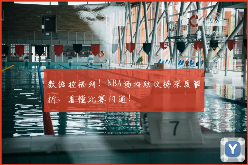 数据控福利！NBA场均助攻榜深度解析，看懂比赛门道！