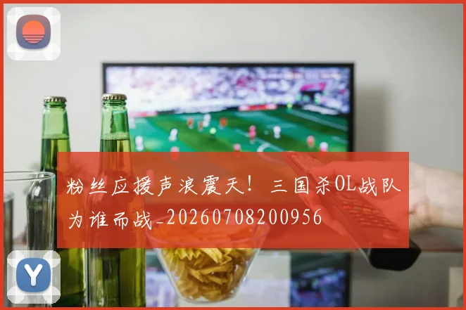粉丝应援声浪震天!三国杀OL战队为谁而战_20260708200956