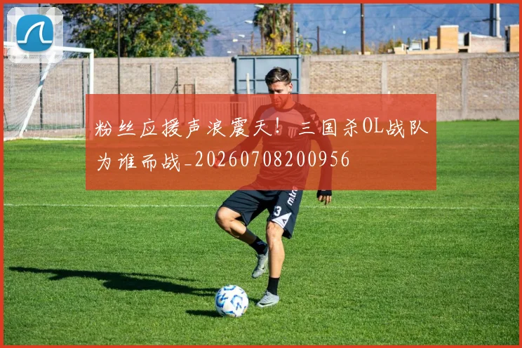 粉丝应援声浪震天！三国杀OL战队为谁而战_20260708200956